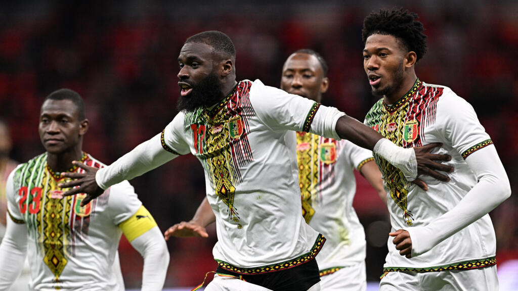 Maillot Mali Domicile